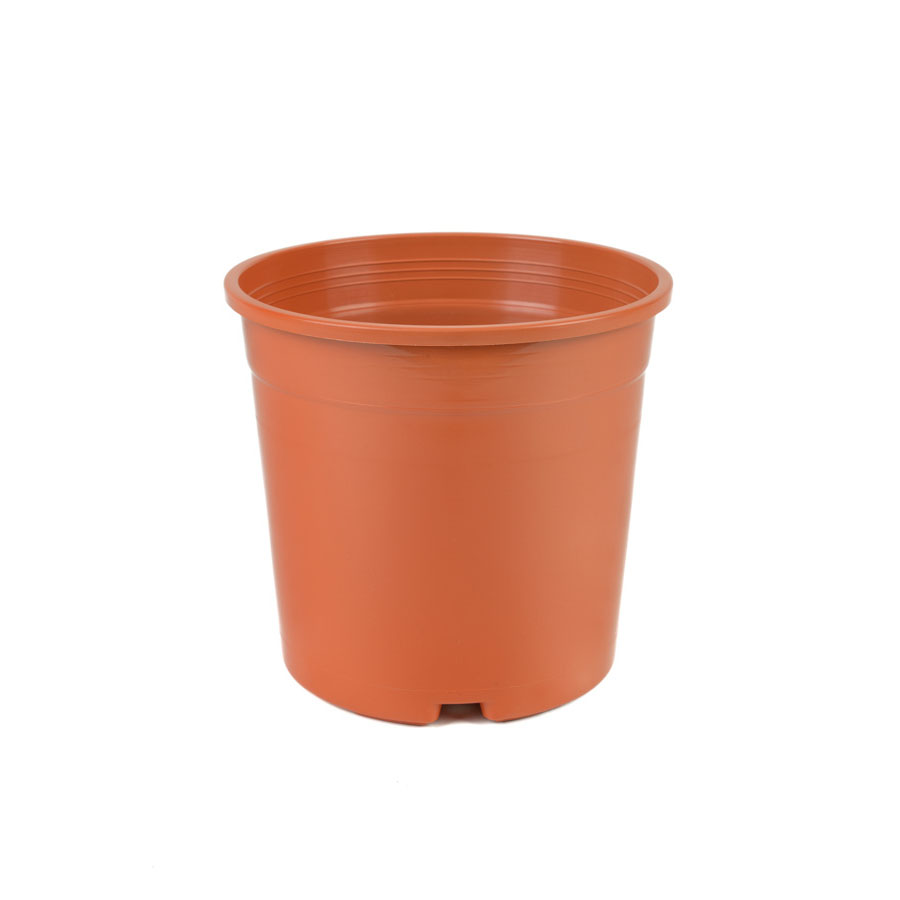 CONTAINER POT