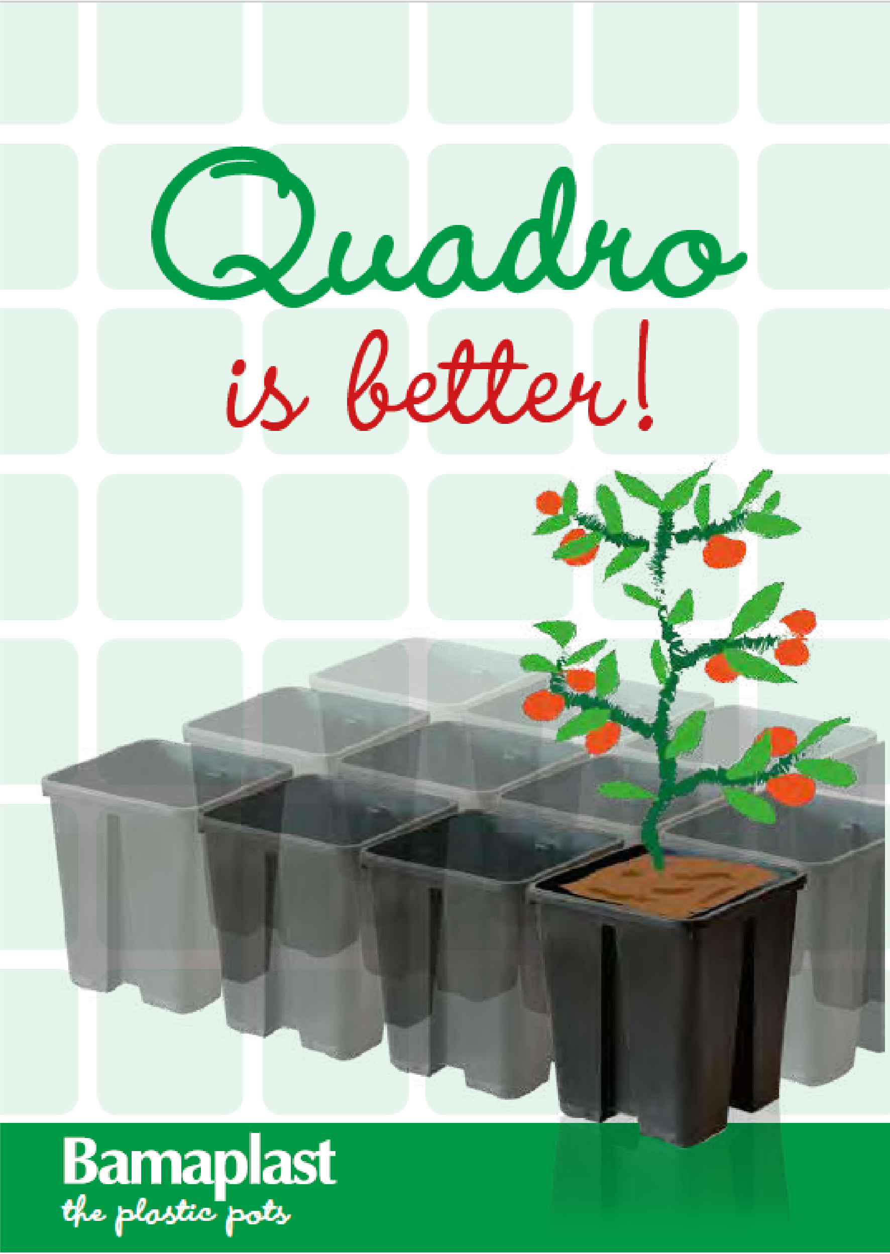 QUADRO POTS