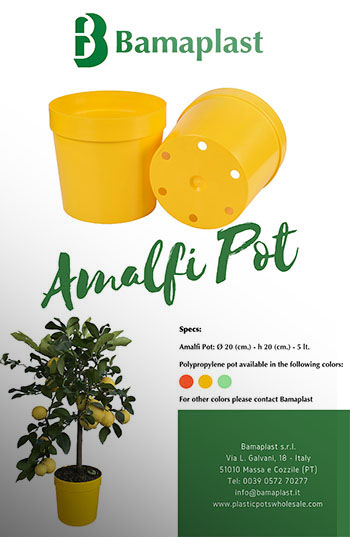 AMALFI pot