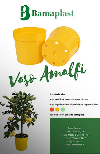 Vaso AMALFI