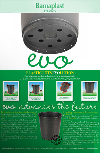 EVO Pot