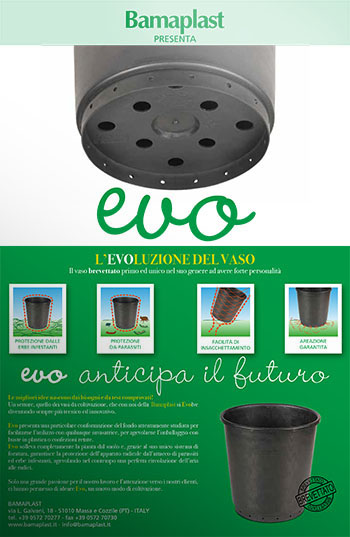 Vaso EVO